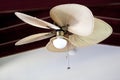 Tropical electric fan an cealing Royalty Free Stock Photo