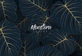 Tropical elegant monstera leaves. Luxury nature leaf texture design with golden line arts on dark blue background. Hand drawn leaf Royalty Free Stock Photo