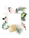 Tropical elegant pastel frame arranged from exotic and dried palm leaves
