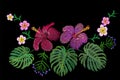 Tropical embroidery flower arrangement. Exotic plant blossom summer jungle. Fashion print textile patch. Hawaii hibiscus plumeria Royalty Free Stock Photo