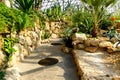 Tropical Exhibition Greenhouse interior Royalty Free Stock Photo