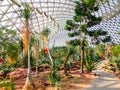 Tropical Exhibition Greenhouse interior Royalty Free Stock Photo