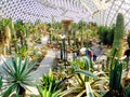 Tropical Exhibition Greenhouse interior
