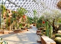 Tropical Exhibition Greenhouse plants