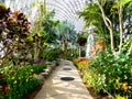 Tropical Exhibition Greenhouse plants Royalty Free Stock Photo