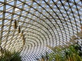 Tropical Exhibition Greenhouse roof Royalty Free Stock Photo