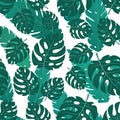 Tropical exotic banana leaves and monster on white background. Seamless pattern. Royalty Free Stock Photo