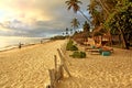 Tropical exotic beach on sunny morning in Zanzibar