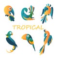 Tropical exotic birds. Green paradise parrots with big billed yellow toucan.