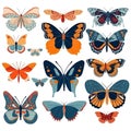 Tropical exotic colorful butterflies vector set. Isolated beautiful Butterfly collecion on white background. Elements. Summer Royalty Free Stock Photo