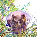 Tropical exotic forest, green leaves, wildlife, hippopotamus, watercolor illustration. watercolor background unusual exotic nature