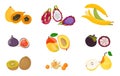 Tropical exotic fruits set. Raw vegetarian food. Vector illustration flat