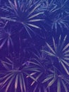 tropical exotic leaf background, jungle in purple and blue, faded