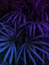 tropical exotic leaf vertical background in purple and blue tone