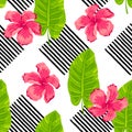 Tropical exotic leaves, hibiscus flowers seamless pattern Royalty Free Stock Photo