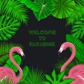 Tropical exotic leaves with pink flamingos background
