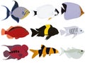 Tropical exotic marine varicolored aquarium fish collection vector illustration Royalty Free Stock Photo