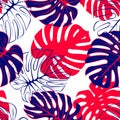 Tropical exotic monstera palm leaves seamless pattern. Exotic jungle backgound.