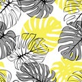 Tropical exotic monstera palm leaves seamless pattern. Exotic jungle backgound.