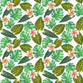 Tropical exotic plants background Royalty Free Stock Photo