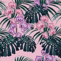 Tropical exotic plants seamless pattern, monster, palm leaves and orchid flowers. Royalty Free Stock Photo