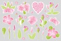 Tropical exotic plumeria flowers in sticker pack. Decorative frangipani floral elements. Vector illustrations.