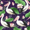 Tropical exotic print with pelicans, lotus flowers and leaves. Royalty Free Stock Photo