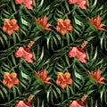 Tropical exotic tender lovely flowers hibiscus pattern
