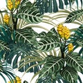 Tropical exotic tender lovely yellow flowers, palm monstera leaves, green floral summer seamless pattern. Royalty Free Stock Photo