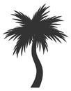 Tropical exotic tree silhouette. Black palm icon