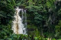 Tropical Falls 2