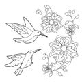 Tropical fancy bird. Black and white picture. Contour linear illustration for coloring book with paradise birds. Line art design