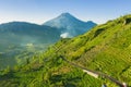 Tropical farmland at Dieng Plateau Royalty Free Stock Photo