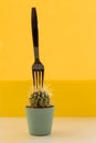 Tropical fashion cactus and black fork on yellow background. Trendy minimal pop art style and colors.summer trendy