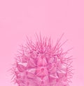 Tropical fashion pink cactus on paper background. Trendy minimal pop art style and colors.