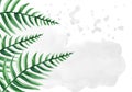 Tropical fern branch watercolor background template