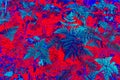 Tropical fern leaves. fern leaves in artistic execution of blue and red shades