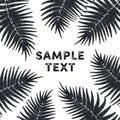 Tropical Fern Leaves frame background in black and white Royalty Free Stock Photo