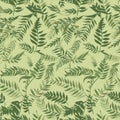 Tropical Fern Leaves Pattern in Shades of Green Royalty Free Stock Photo