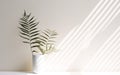 Tropical fern tree leaves in white ceramic vase on blurred white wall, sunlight and long shadow Royalty Free Stock Photo