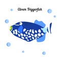 Tropical fish Clown Triggerfish - Balistoides conspicillum in white Background. Whith blue bubbless. Cartoon sea Royalty Free Stock Photo