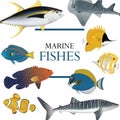 Tropical fish collection marine Royalty Free Stock Photo