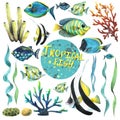 Tropical fish, coral reefs, sea sponges and algae, in the set. Watercolor illustration. For the design and decoration of Royalty Free Stock Photo