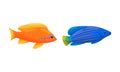 Tropical Fish of Different Shapes and Colors Vector Set Royalty Free Stock Photo