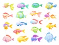 Tropical Fish for Freshwater and Saltwater Aquarium Big Vector Set Royalty Free Stock Photo