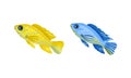 Tropical Fish for Freshwater and Saltwater Aquarium Vector Set Royalty Free Stock Photo