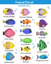 Tropical Fish Icons Set