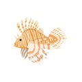 Tropical Fish Lionfish Pterois Volitans Royalty Free Stock Photo