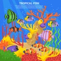 Tropical Fish Sea Background