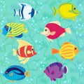 Tropical fish seamless pattern vector illustration